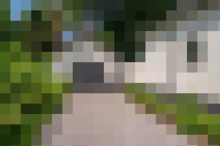 Lijsterweg 2 A Velden thumbnail 58
