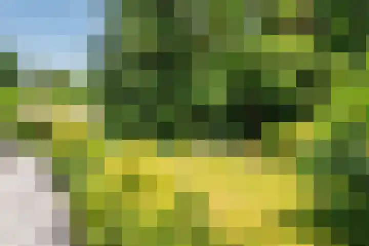 Lijsterweg 2 A Velden thumbnail 59