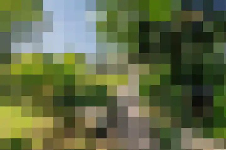 Lijsterweg 2 A Velden thumbnail 62
