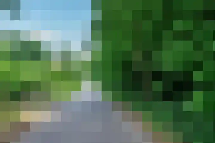 Lijsterweg 2 A Velden thumbnail 63