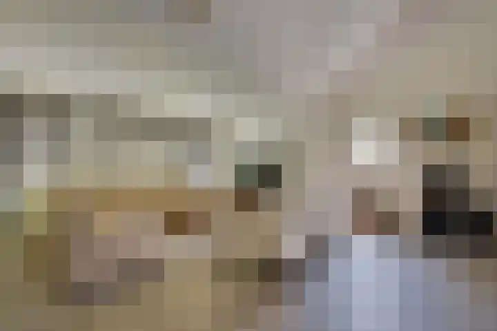 Lijsterweg 2 A Velden thumbnail 8