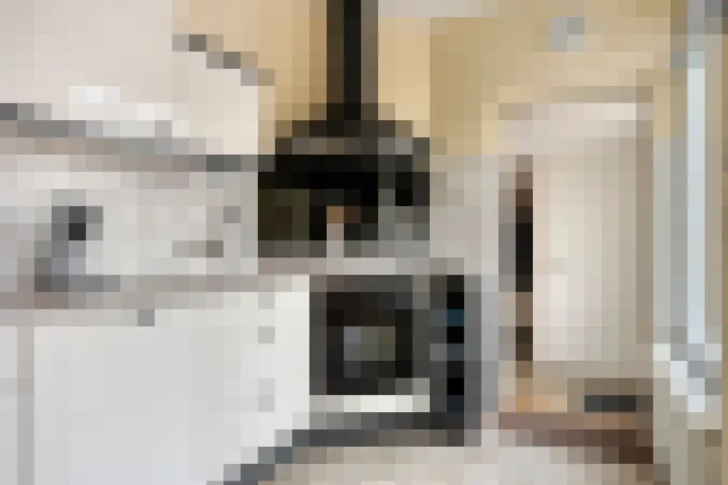 Lijsterweg 2 Wapenveld thumbnail 15