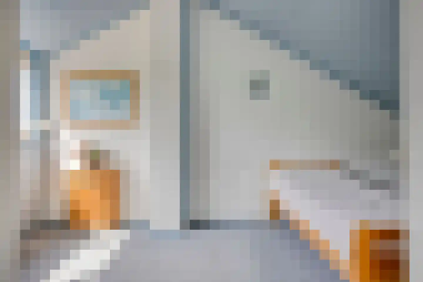 Lijsterweg 2 Wapenveld thumbnail 31