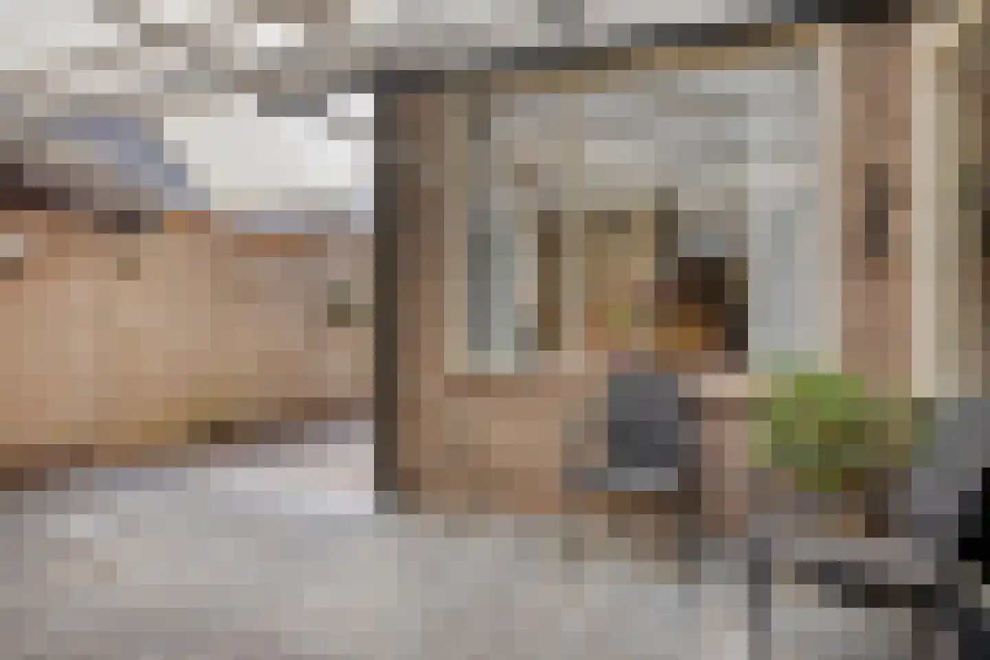 Lijsterweg 2 Wapenveld thumbnail 35