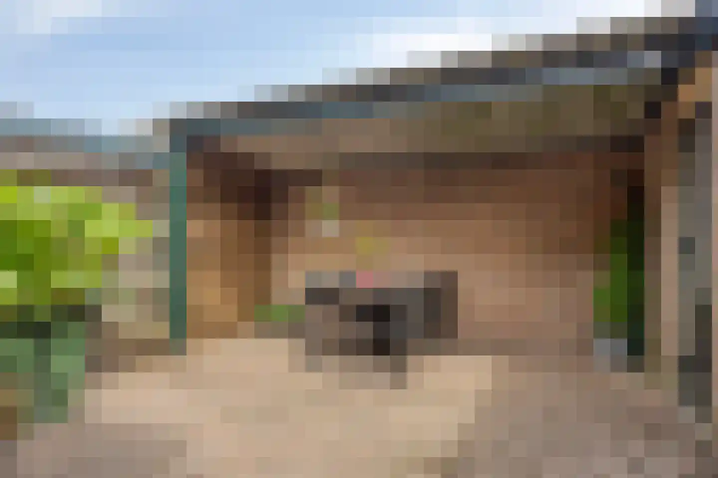 Lijsterweg 2 Wapenveld thumbnail 37