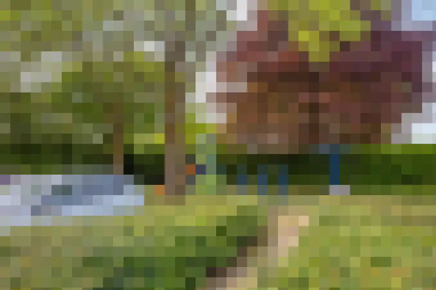 Lijsterweg 2 Wapenveld thumbnail 41