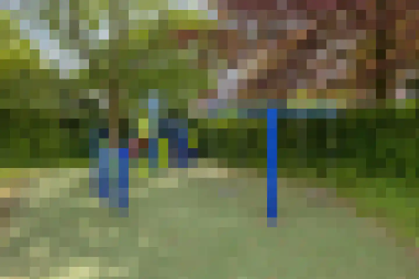 Lijsterweg 2 Wapenveld thumbnail 43