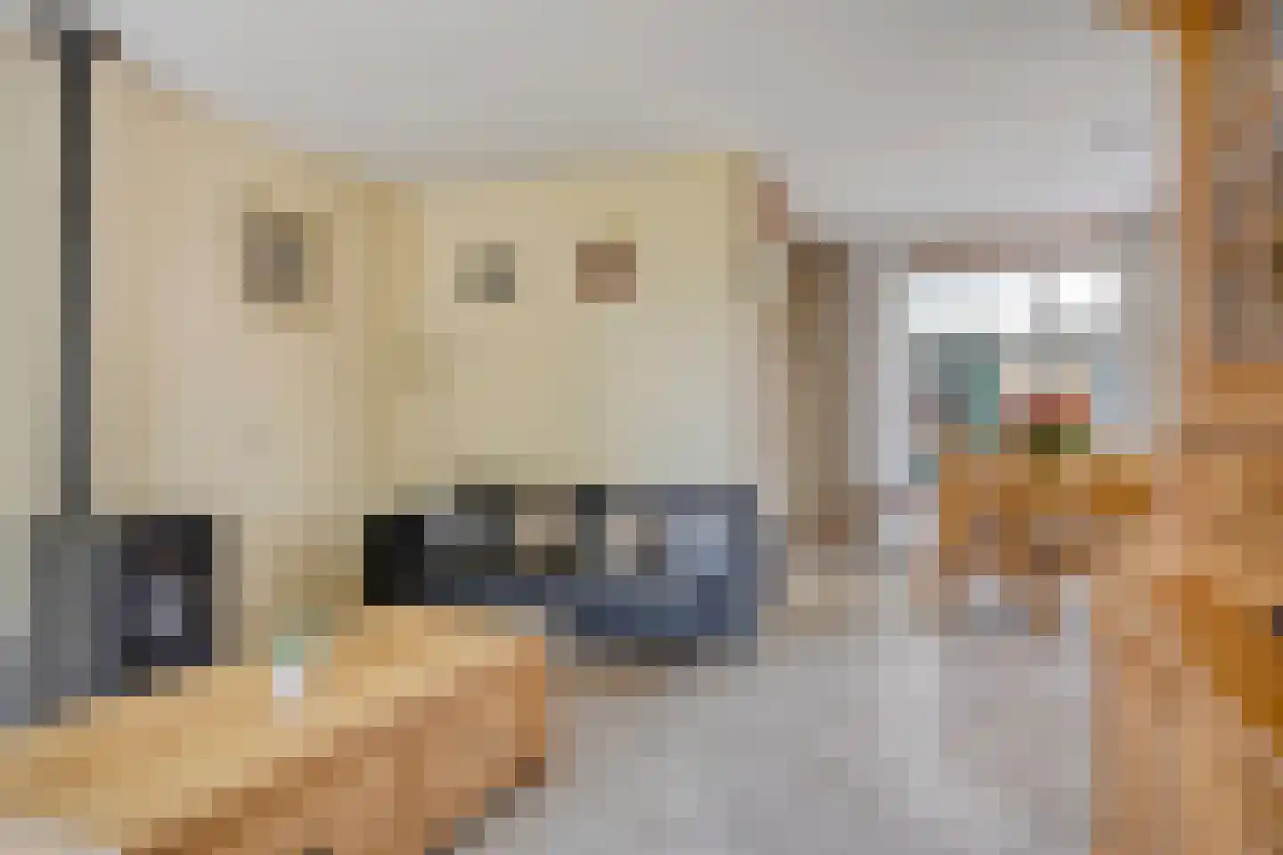 Lijsterweg 2 Wapenveld thumbnail 6