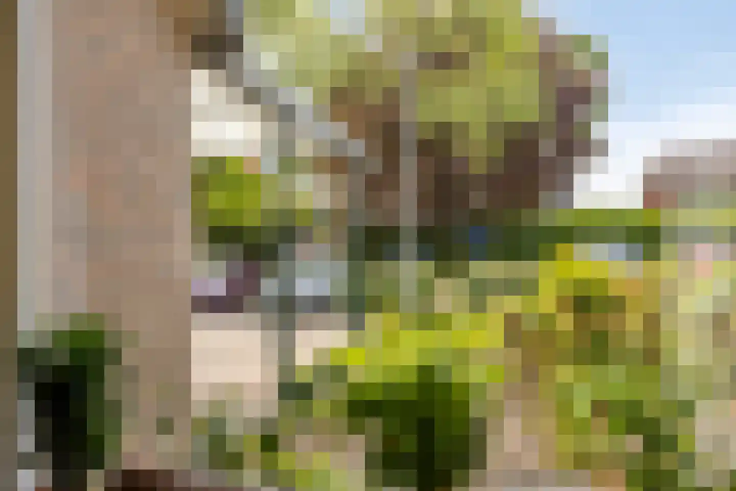 Lijsterweg 2 Wapenveld thumbnail 7