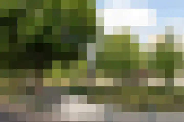 Lijsterweg 27 C Hilversum thumbnail 14