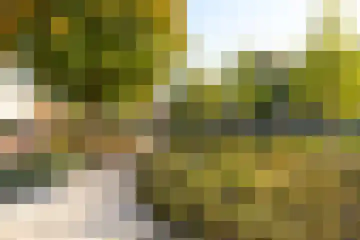 Lijsterweg 27 C Hilversum thumbnail 16