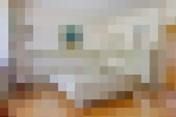 Lijsterweg 3 Velden thumbnail 16