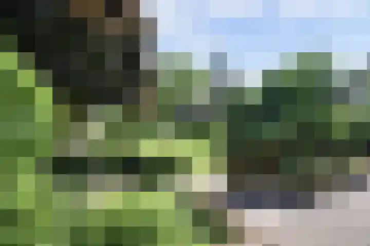 Lijsterweg 3 Velden thumbnail 24