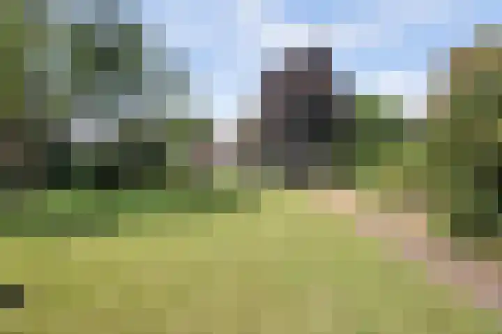 Lijsterweg 3 Velden thumbnail 25