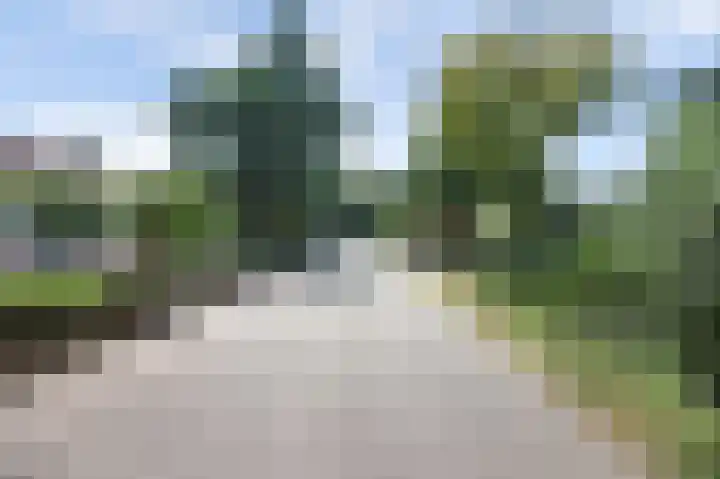 Lijsterweg 3 Velden thumbnail 27
