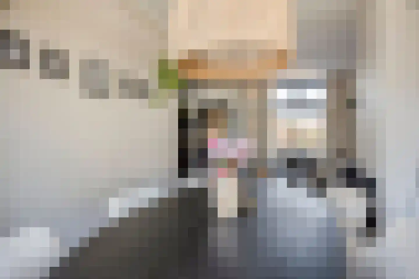 Lijsterweg 34 Hengelo thumbnail 16