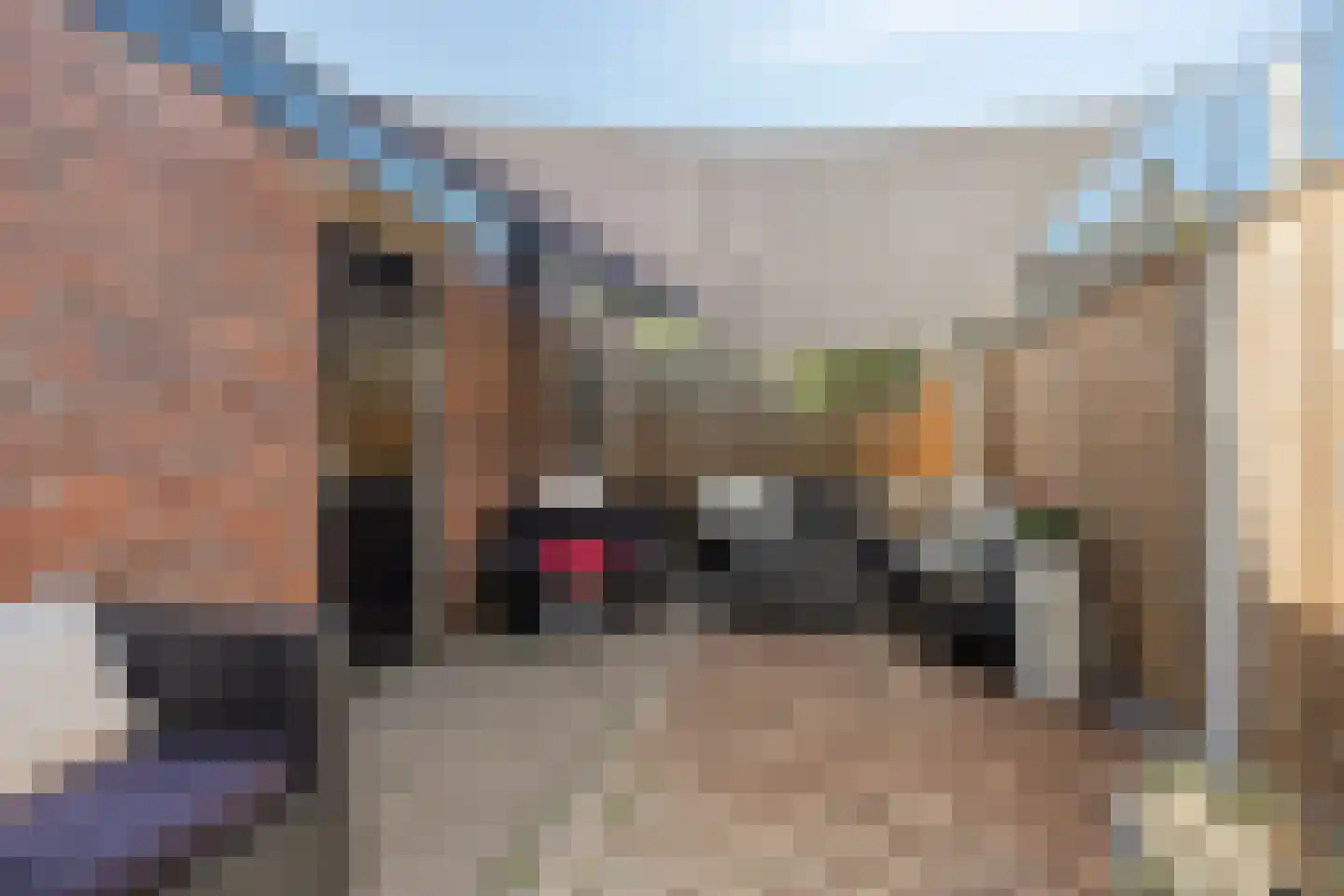 Lijsterweg 34 Hengelo thumbnail 31