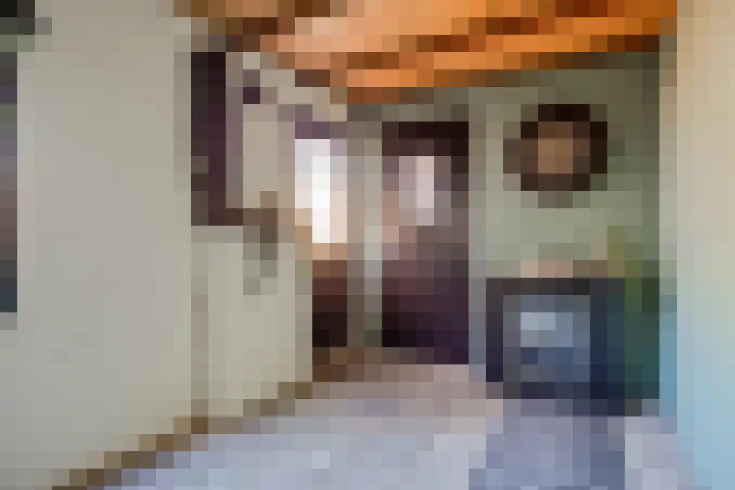 Lijsterweg 34 Hengelo thumbnail 34