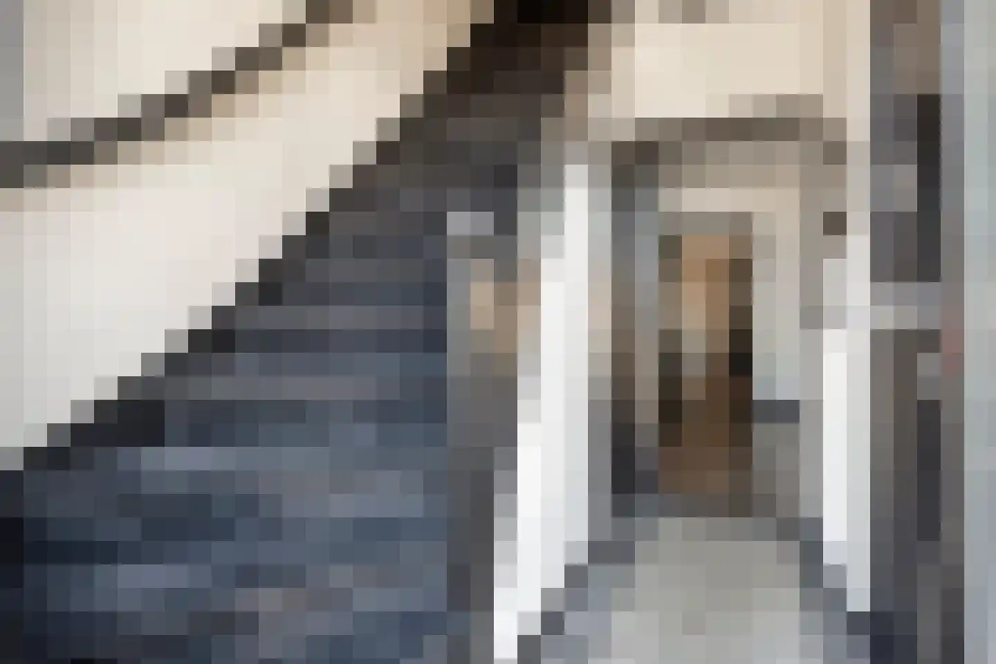Lijsterweg 34 Hengelo thumbnail 8