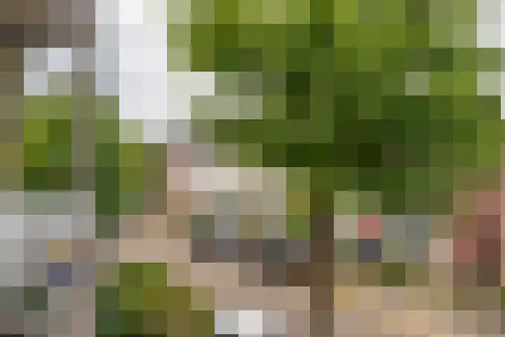 Lijsterweg 38 Hilversum thumbnail 25