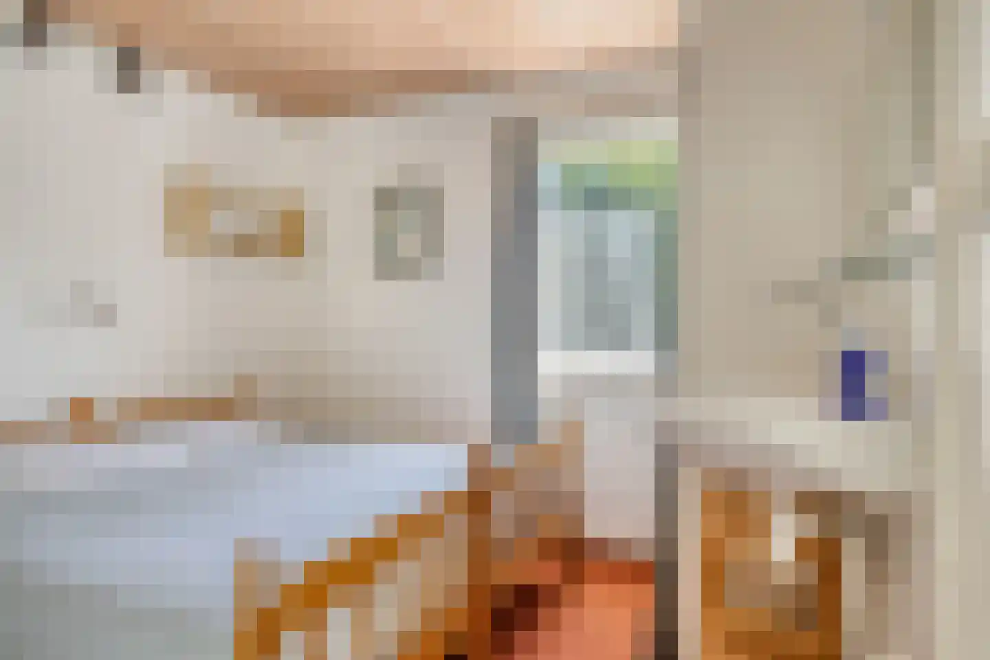 Lijsterweg 4 Renesse thumbnail 15