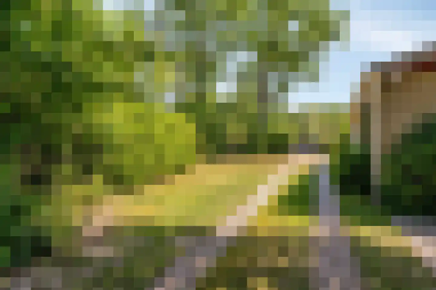 Lijsterweg 4 Renesse thumbnail 23