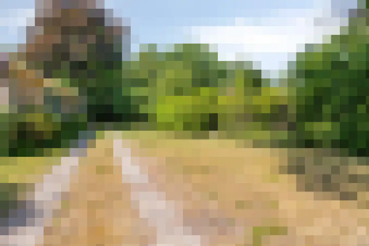 Lijsterweg 4 Renesse thumbnail 24