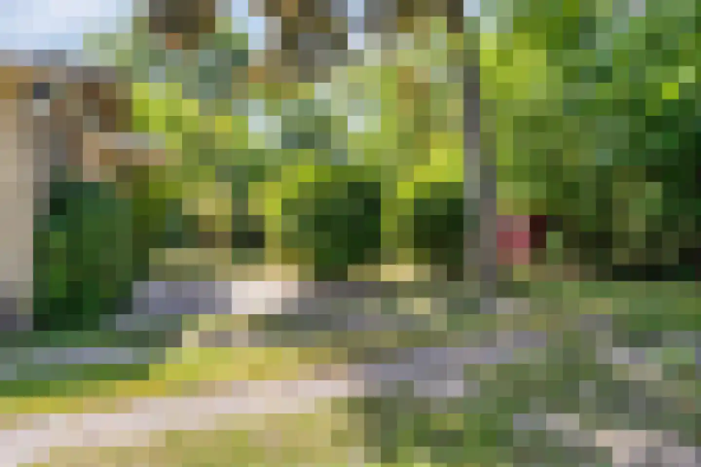 Lijsterweg 4 Renesse thumbnail 25