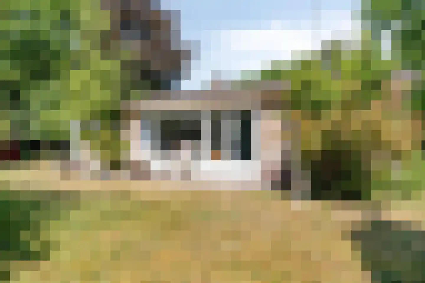 Lijsterweg 4 Renesse thumbnail 26