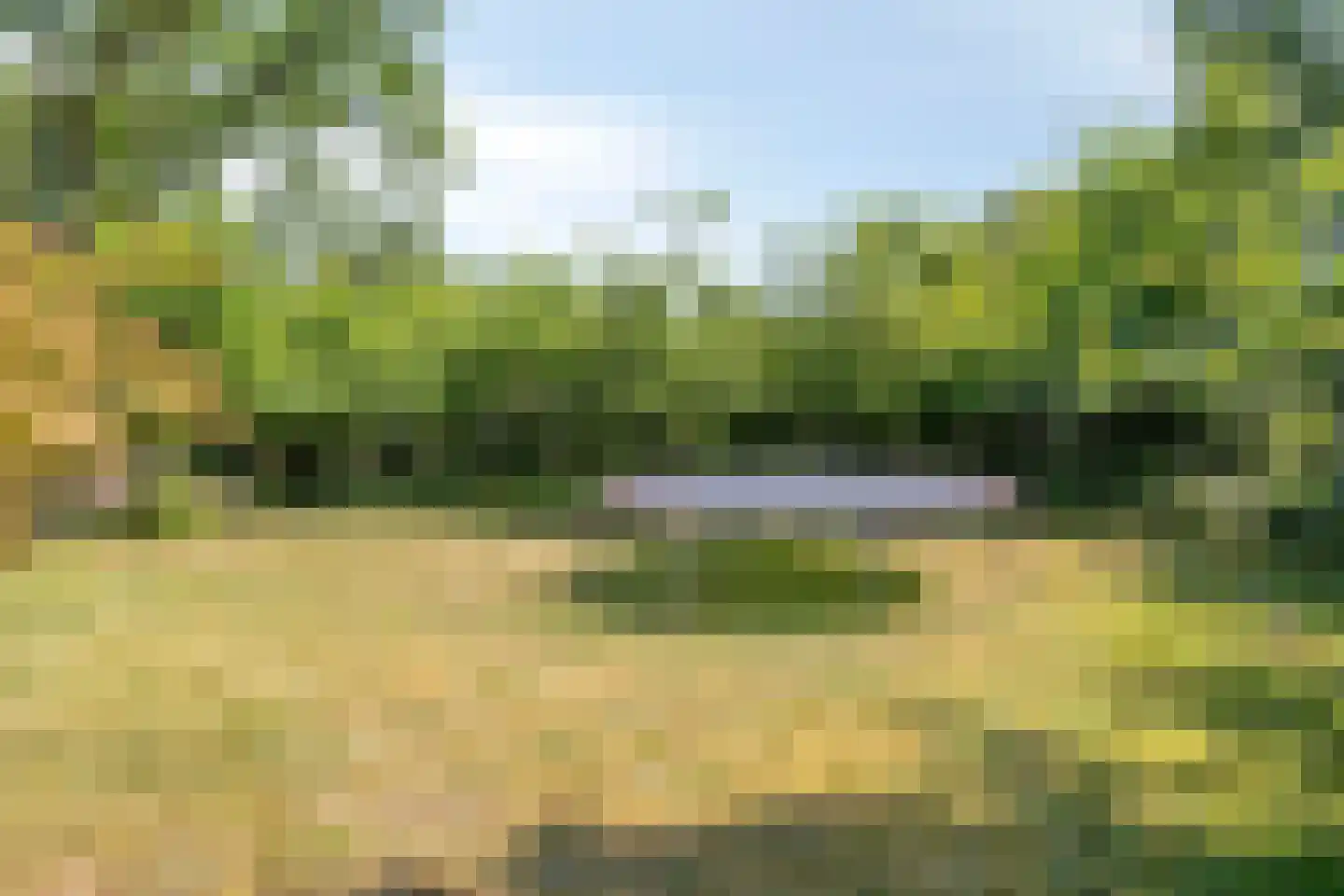 Lijsterweg 4 Renesse thumbnail 28