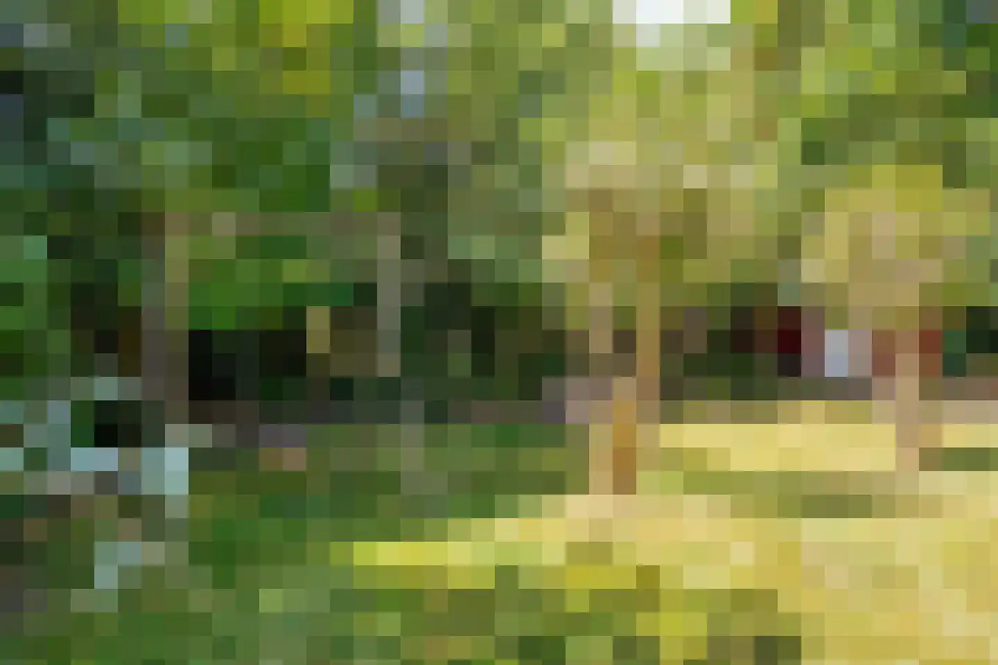 Lijsterweg 4 Renesse thumbnail 30