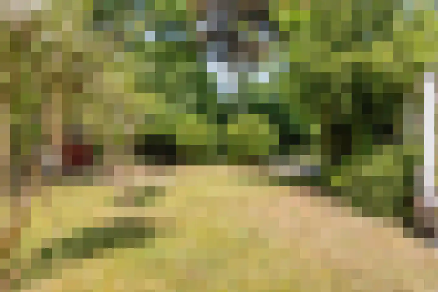 Lijsterweg 4 Renesse thumbnail 31