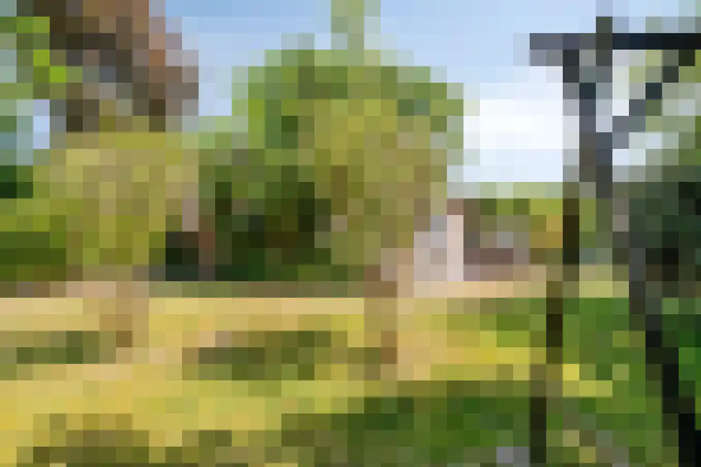 Lijsterweg 4 Renesse thumbnail 32