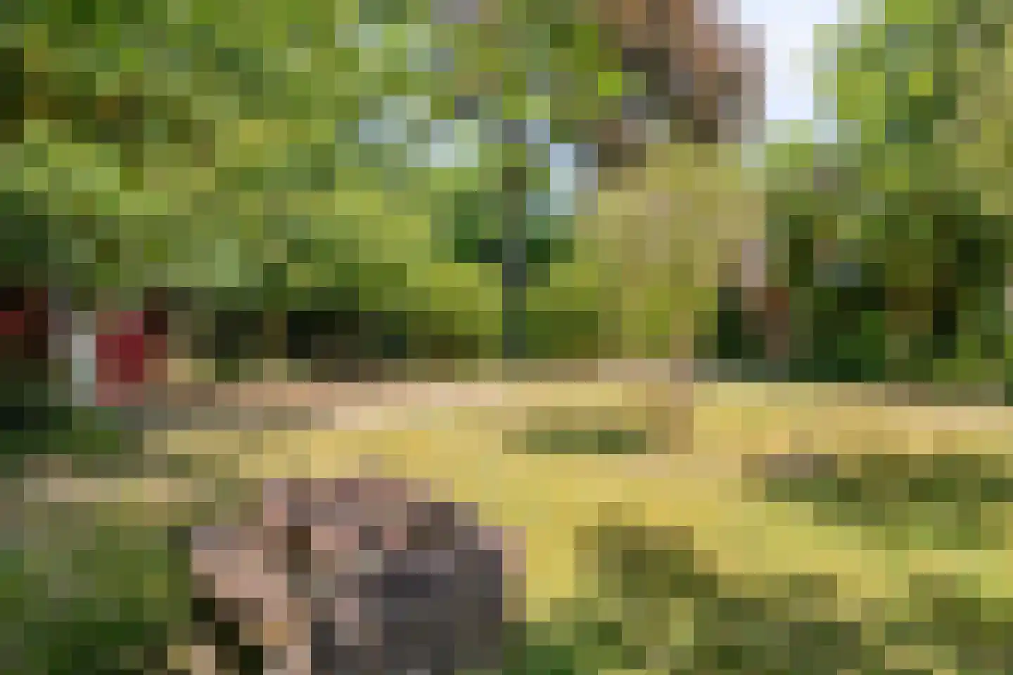 Lijsterweg 4 Renesse thumbnail 33