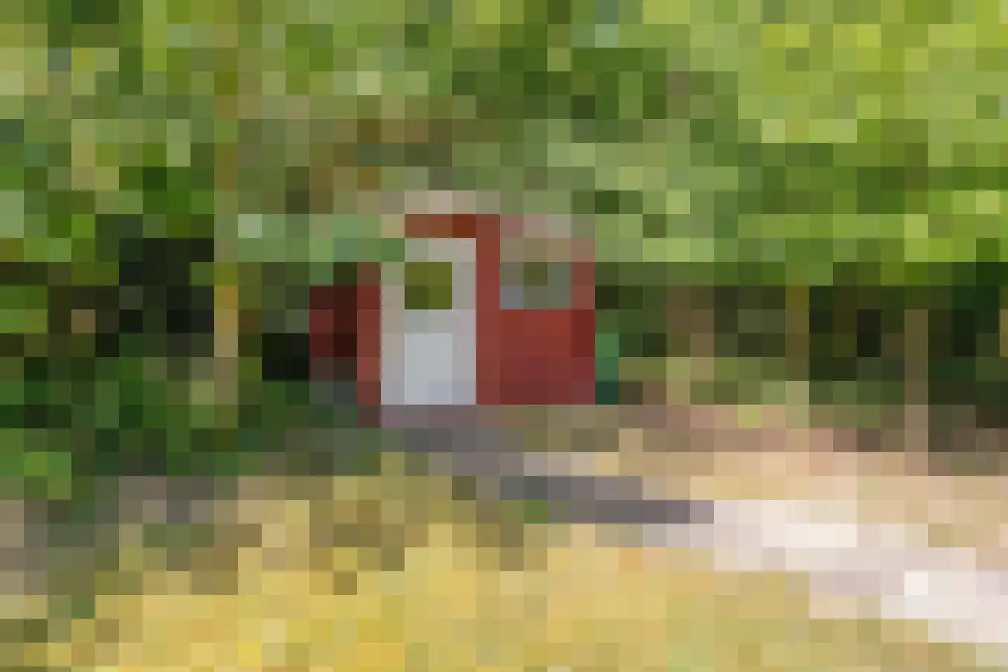 Lijsterweg 4 Renesse thumbnail 34