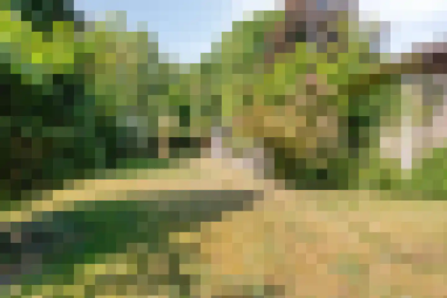 Lijsterweg 4 Renesse thumbnail 35