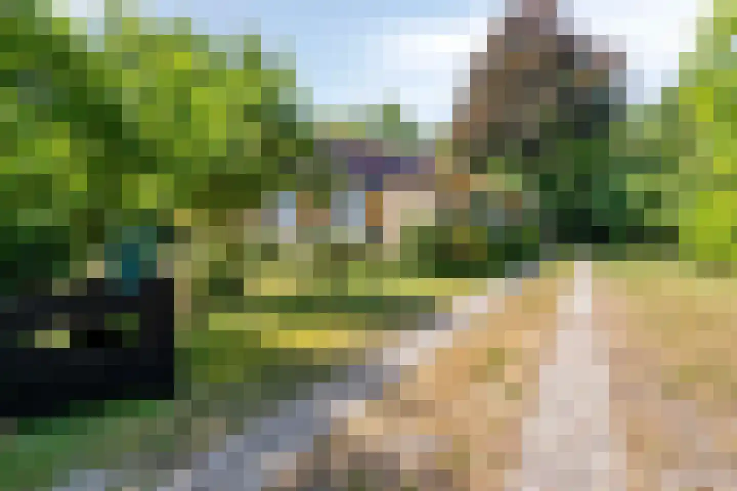 Lijsterweg 4 Renesse thumbnail 38
