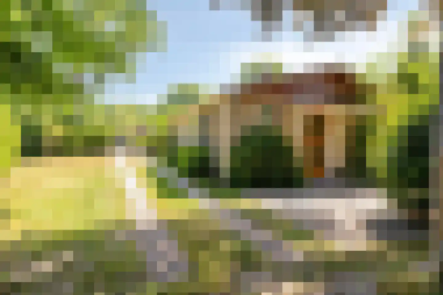 Lijsterweg 4 Renesse thumbnail 39