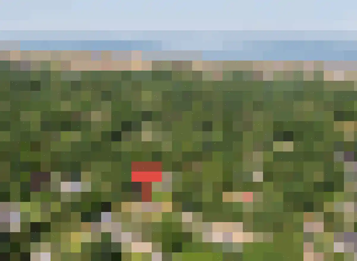Lijsterweg 4 Renesse thumbnail 4