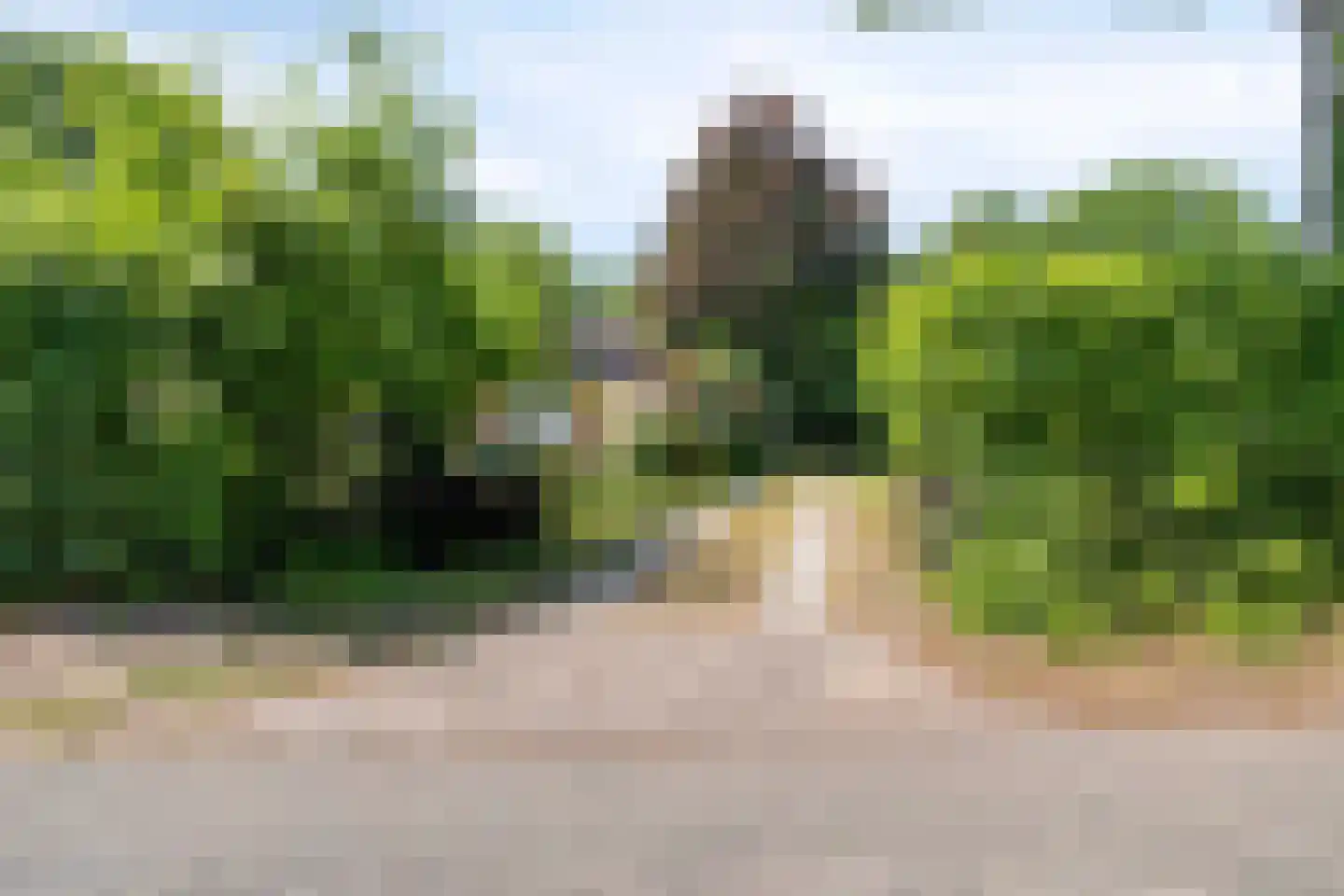 Lijsterweg 4 Renesse thumbnail 41