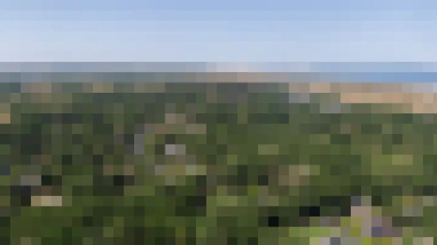 Lijsterweg 4 Renesse thumbnail 42