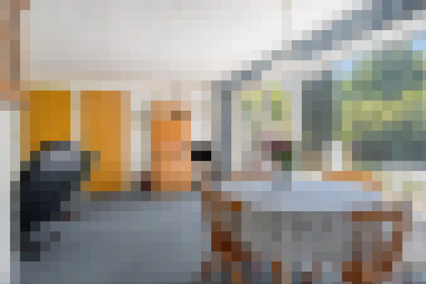 Lijsterweg 4 Renesse thumbnail 5