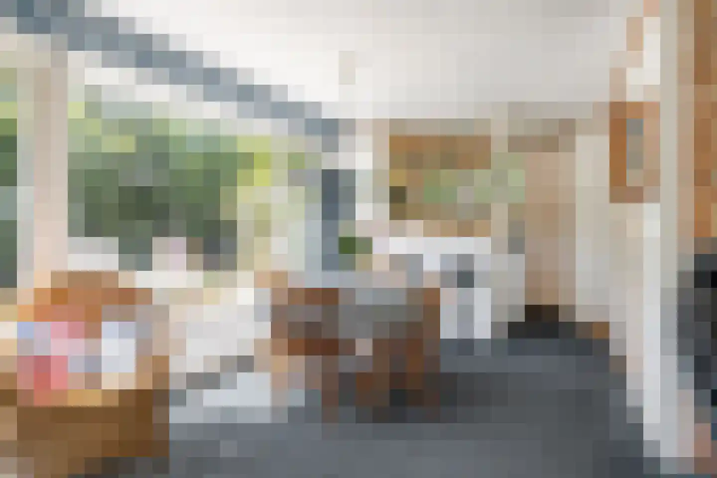Lijsterweg 4 Renesse thumbnail 9