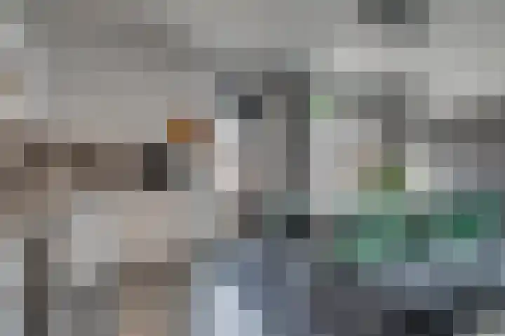 Lijsterweg 4 Venlo thumbnail 13