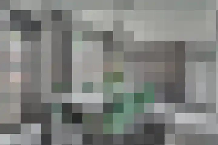 Lijsterweg 4 Venlo thumbnail 16