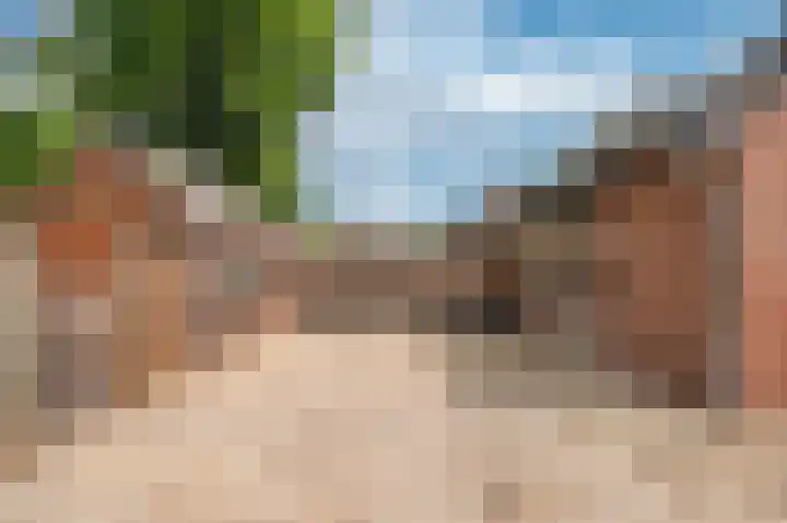 Lijsterweg 4 Venlo thumbnail 27