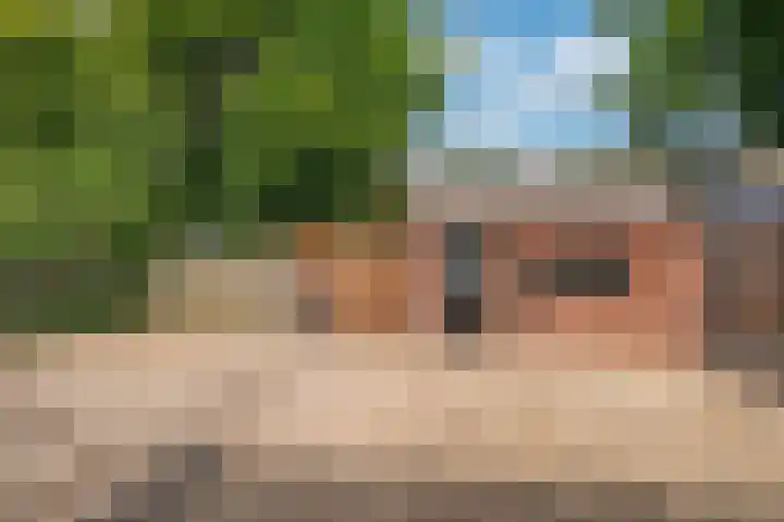 Lijsterweg 4 Venlo thumbnail 28