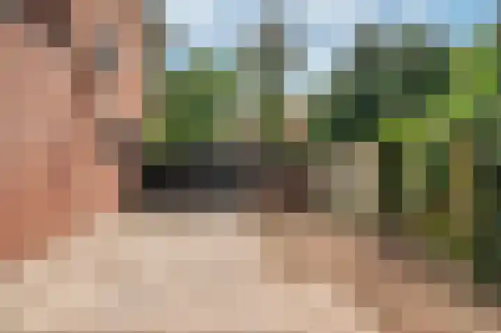 Lijsterweg 4 Venlo thumbnail 30