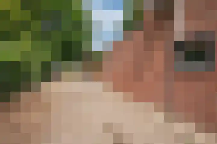 Lijsterweg 4 Venlo thumbnail 32