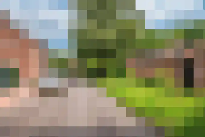 Lijsterweg 4 Venlo thumbnail 35